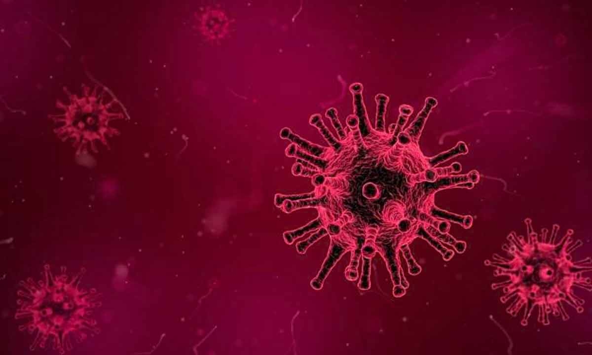 Coronavirus.jpg