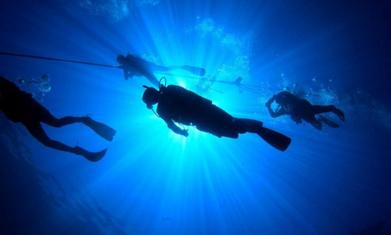ocean-diving-master-scuba-diver.jpg